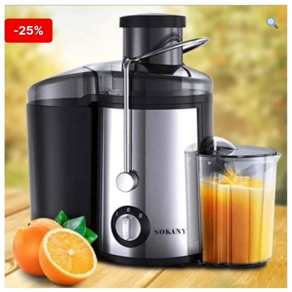 800W Stainless Steel Juice Extractor