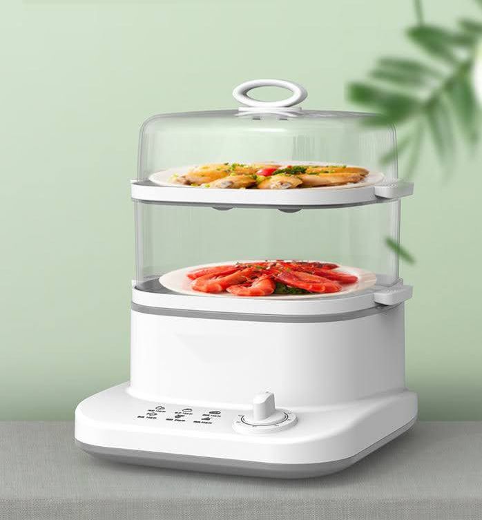 Electric Food Steamer