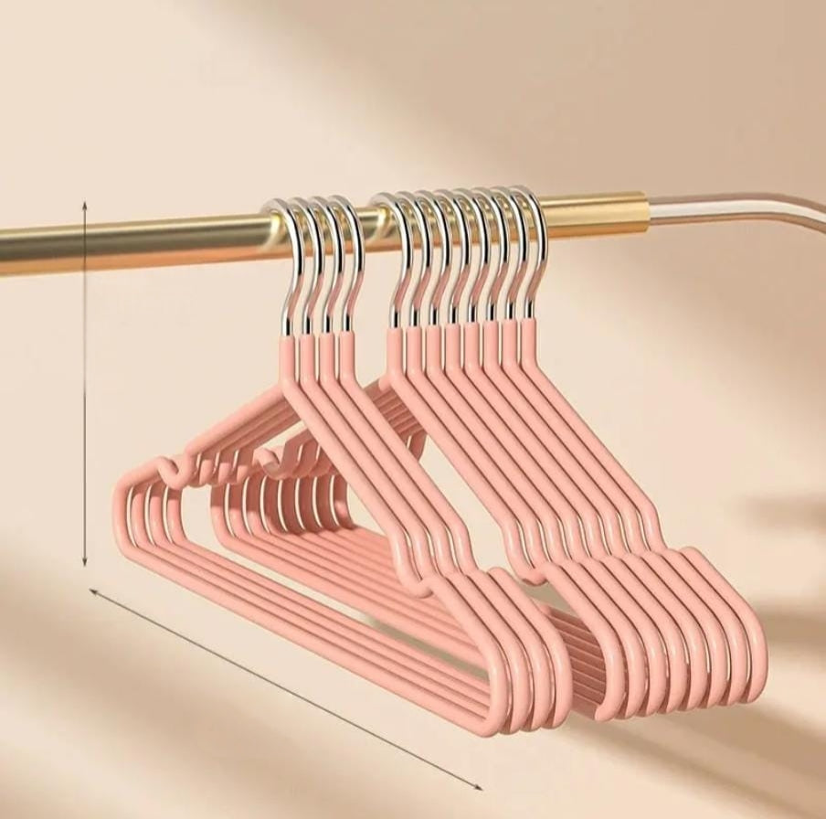 10-Piece Stainless Steel Metallic Hangers Set