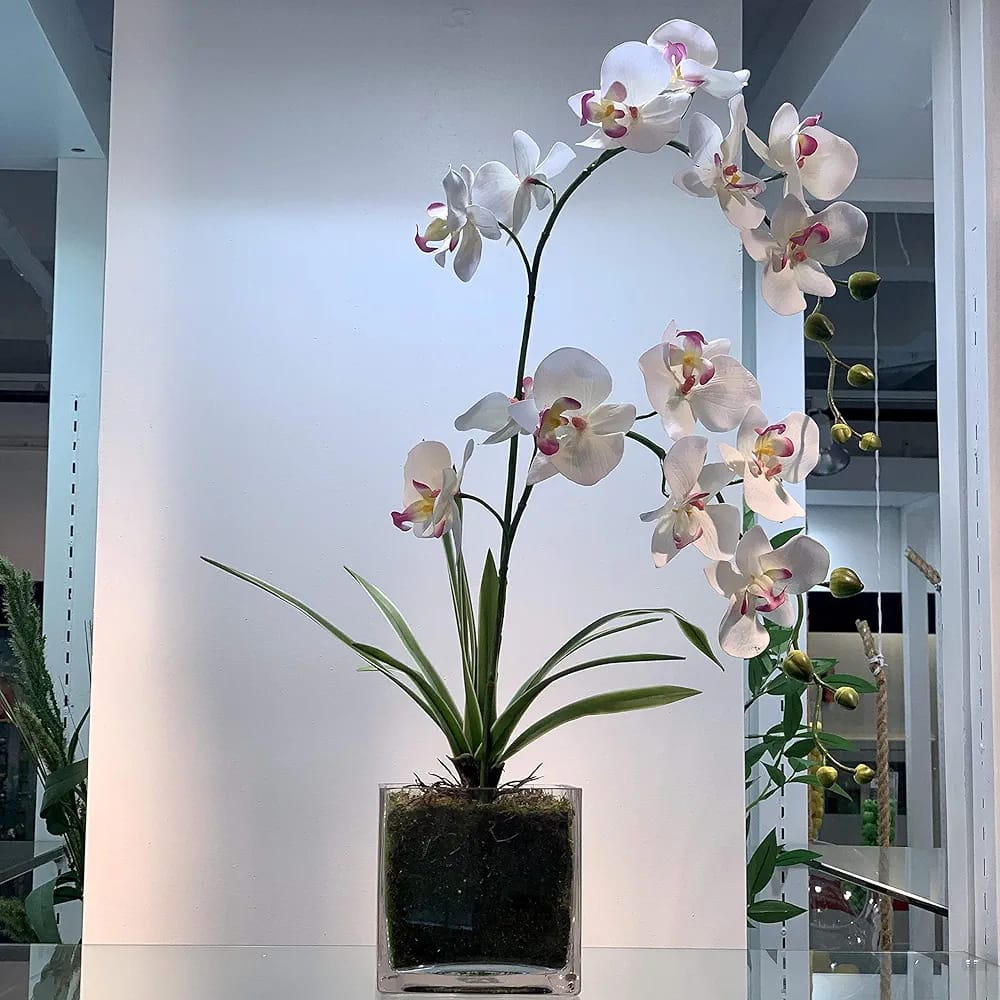 Glass Cube Vase