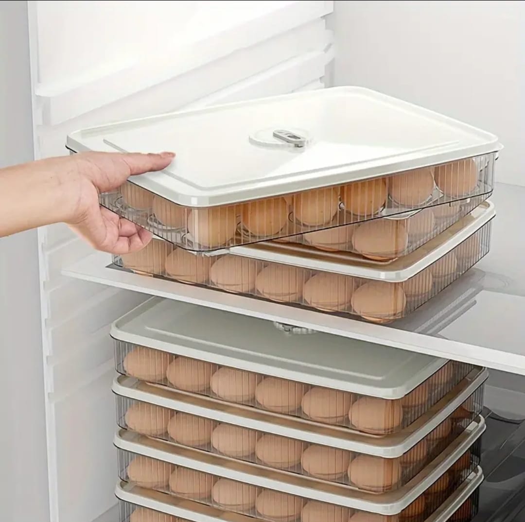 24 Grid Egg Holder Fresh-Keeping Storage Box