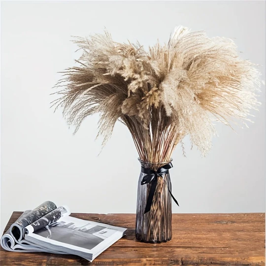 Natural Dried Reed Decorative Mini Pampas Grass 10pcs Bundle