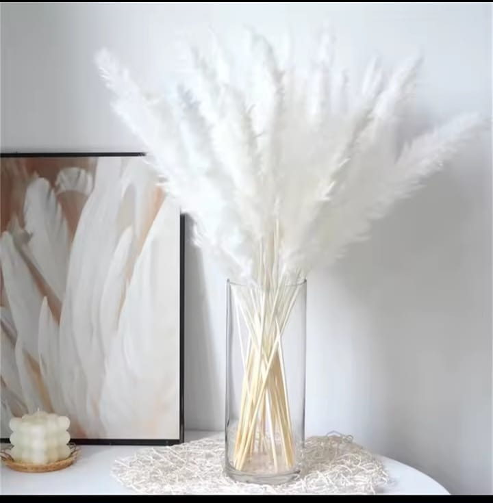 10 Pieces Dried Mini Pampas Grass