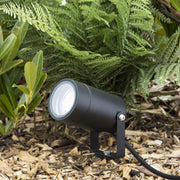 Single Spot Spike Light LL 4901-GU-BK