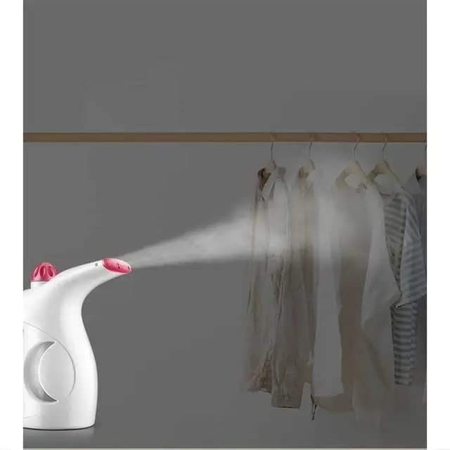 Garment/facial steamer