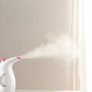Garment/facial steamer