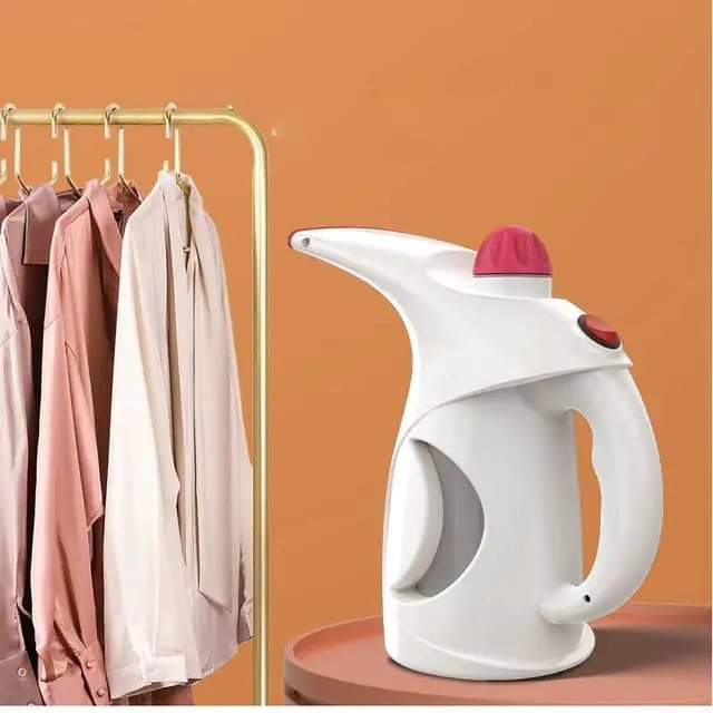 Garment/facial steamer