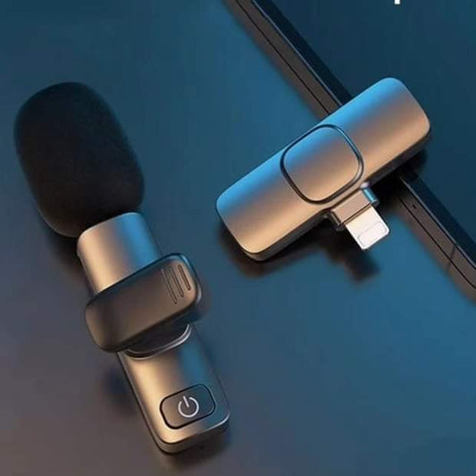 2 in 1 wireless microphone