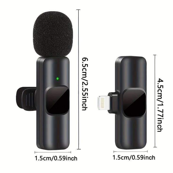 2 in 1 wireless microphone