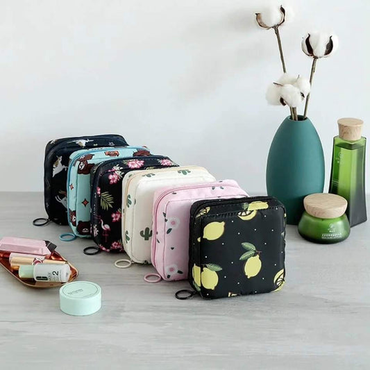 Portable storage Bag