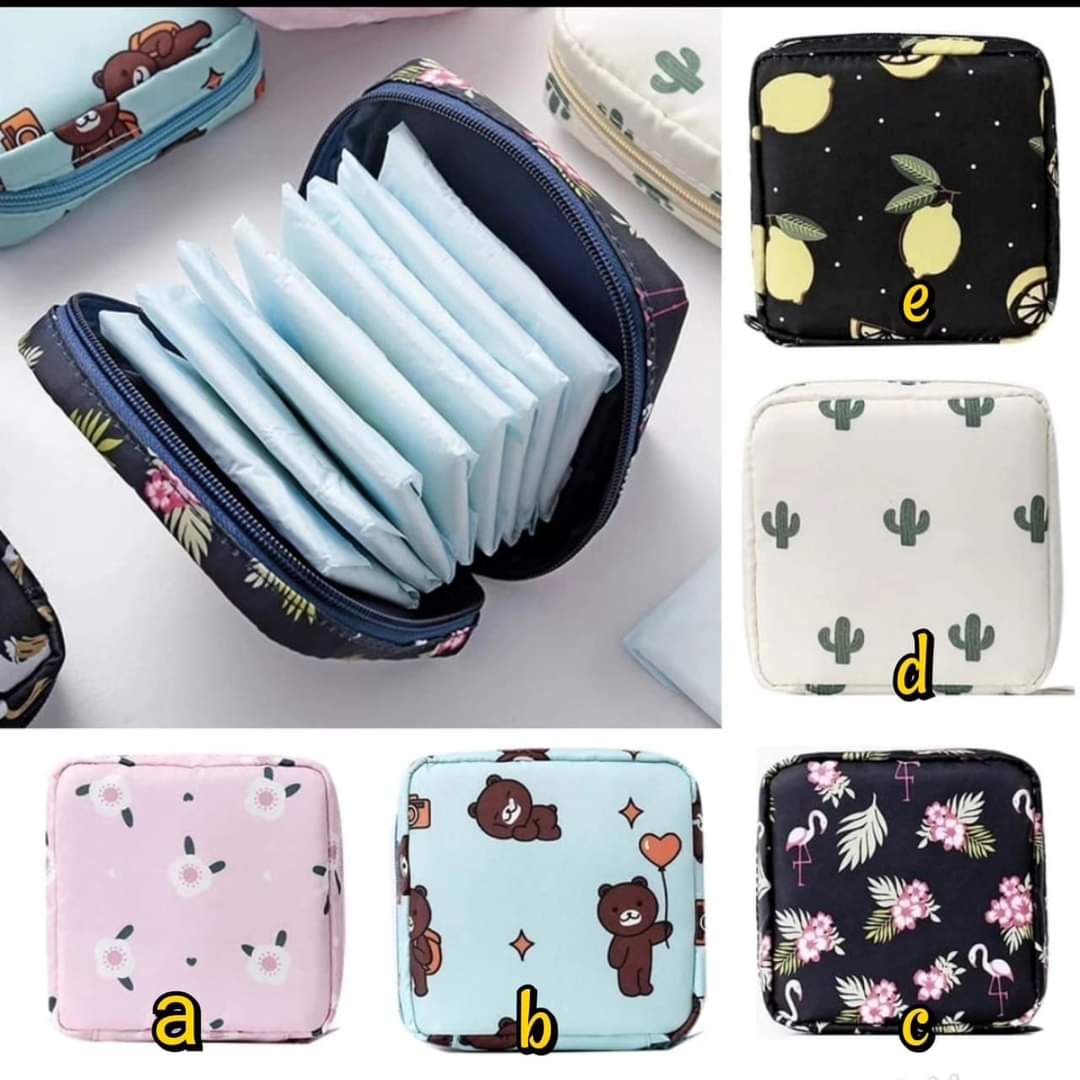 Portable storage Bag