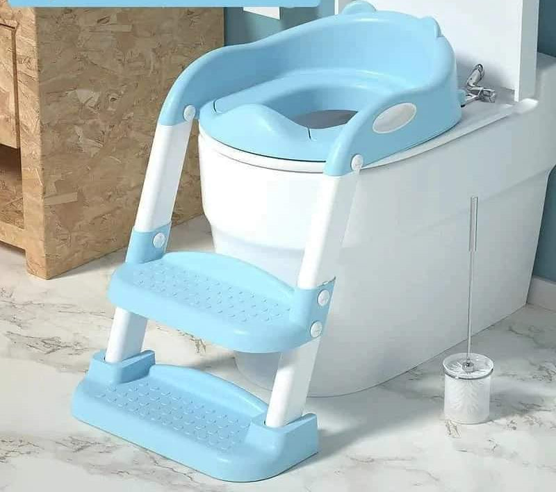 Kids Toilet Training Seat/Ladder