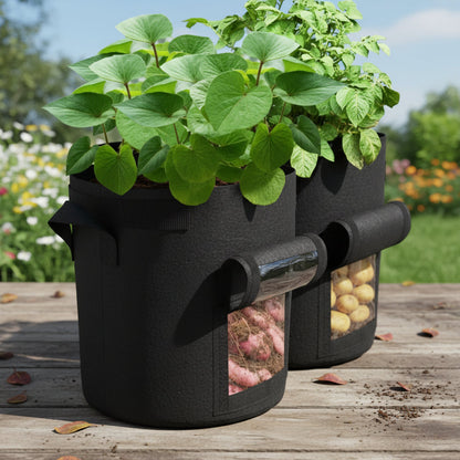 Potato Growing Bags