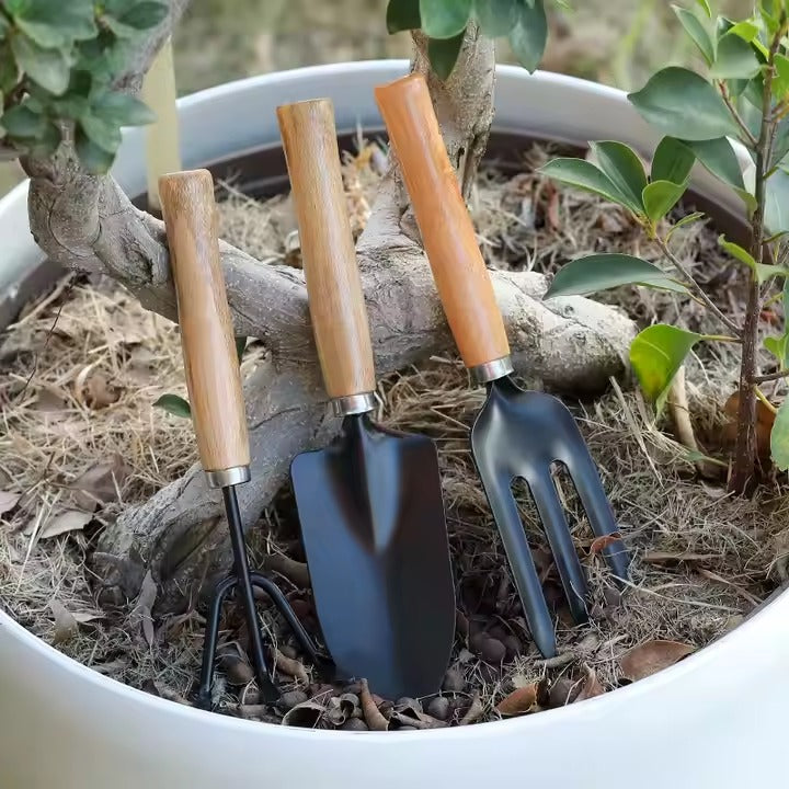 3-piece stainless steel garden tool set with wooden handles including shovel, rake, and spade