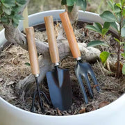 3-piece stainless steel garden tool set with wooden handles including shovel, rake, and spade