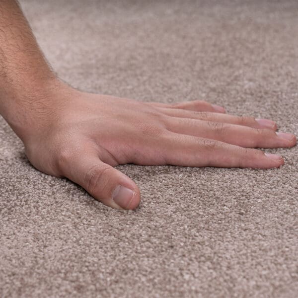 PETRA: Sensitive Carpet Rug; Brown 200 × 290 cm – KBPETR13