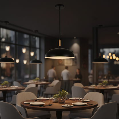 Black Pendant Light – PL 7684-BK