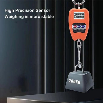 Digital Portable Hanging Scale With An LCD Display