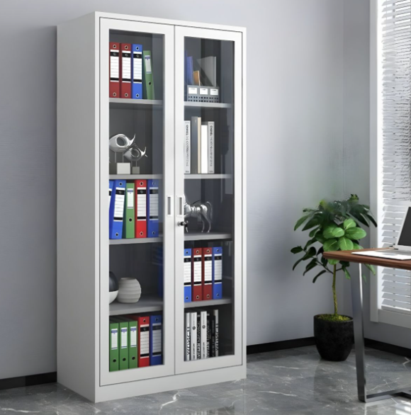 Steel Bookcase Cabinet with Hinged transparent Doors