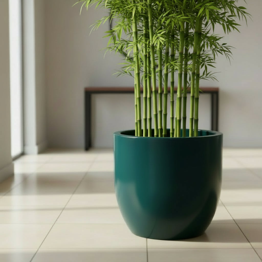 Round Planter with Smooth Finish