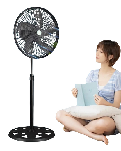 Standing Fans