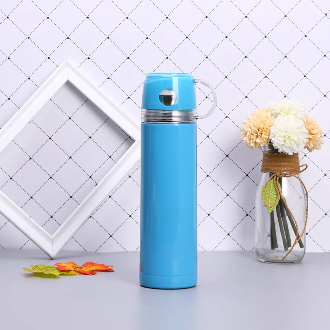 Stainless Steel Flask