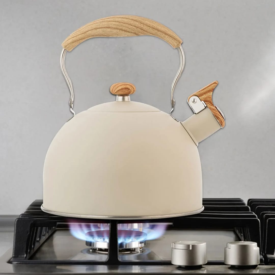 Whistling Kettle 2.5L Stainless Steel Tea Kettle