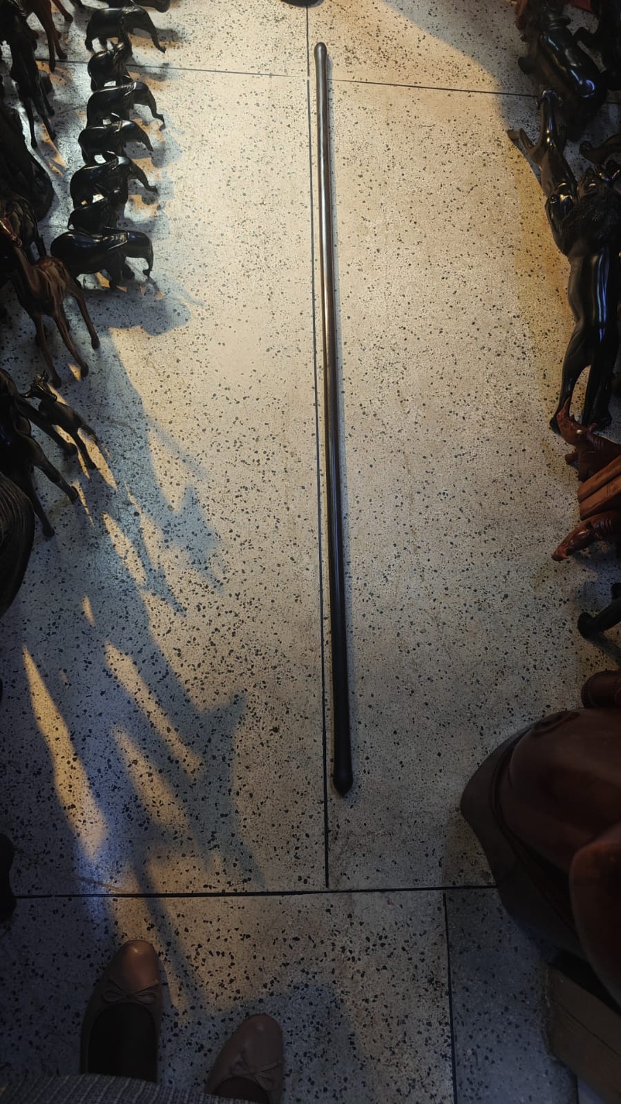 Wooden Walking Stick