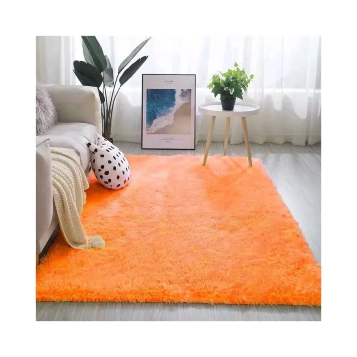 Fluffy Plain Carpets