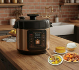 6L Multifunction Pressure Cooker and Rice Cooker
