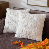 Cushion Covers & Inserts