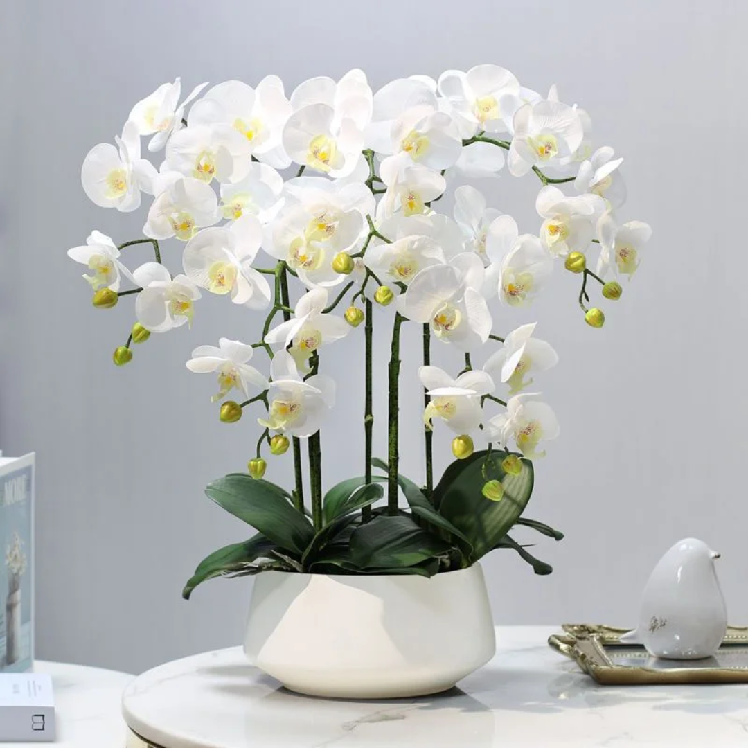 Real-Touch Orchid Plant