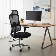High Back Orthopedic Mesh Office Chair with Adjustable Headrest and Lumbar Support