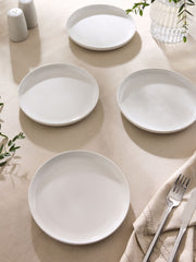 10"5 Dining Plates