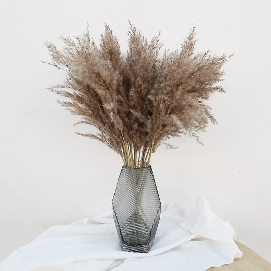 Set of 5 natural dried brown pampas grass stems, 60cm each, for home décor