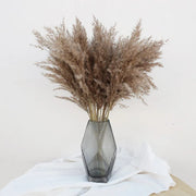 Set of 5 natural dried brown pampas grass stems, 60cm each, for home décor