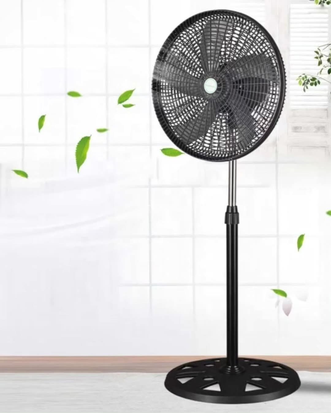 Standing Fans