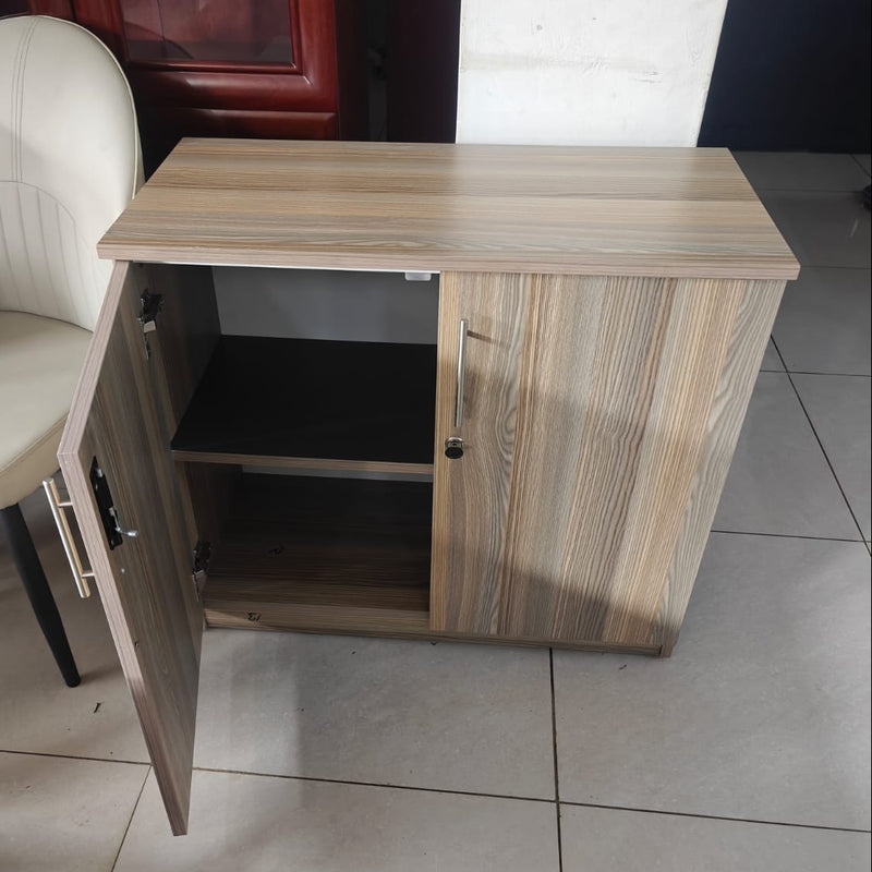 2-Door Low Office Storage Cabinet