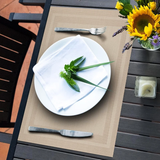 6Pcs Set Woven Table Mats