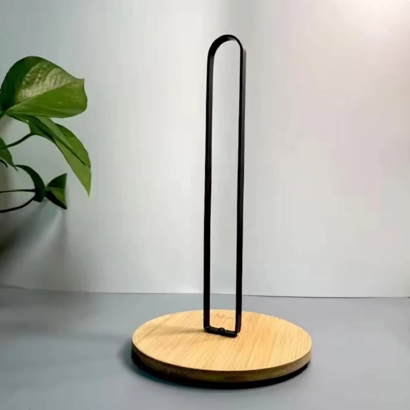 Metallic Paper Towel Holder