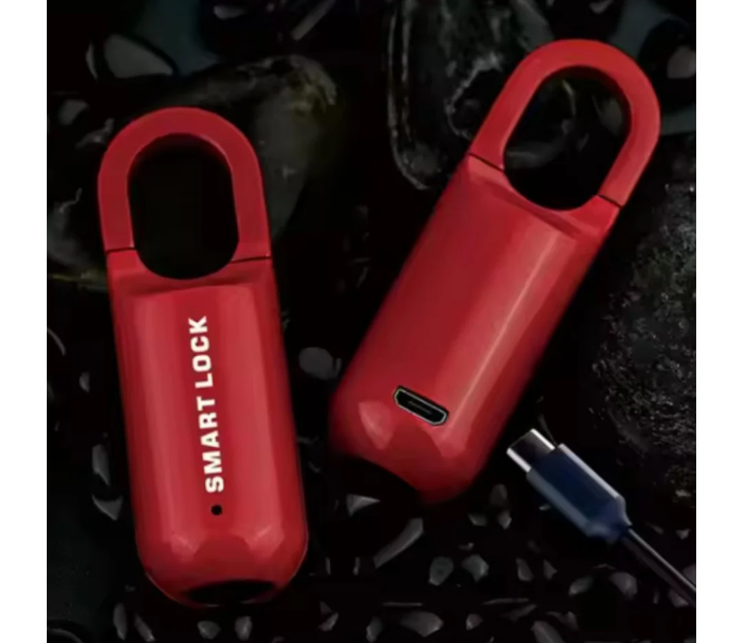 Smart Fingerprint Padlock