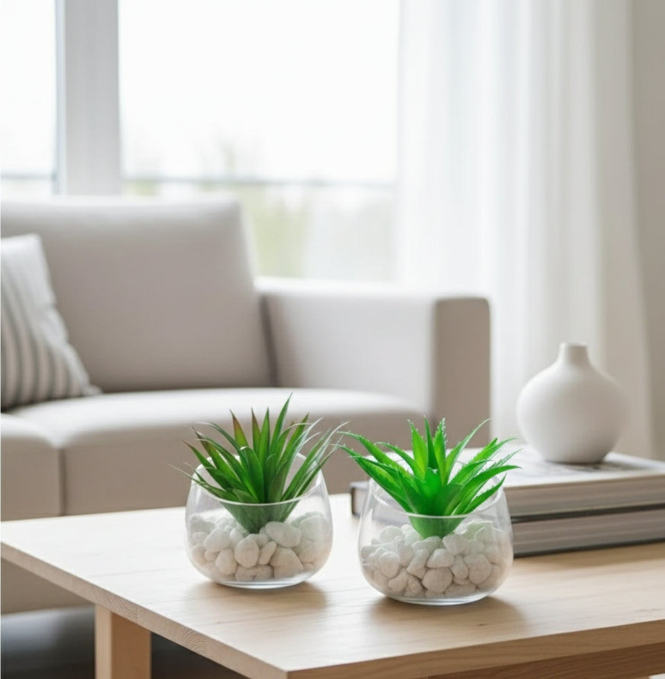 Glass Vase With Succulent