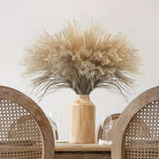 Natural dried reed mini pampas grass 10pcs decorative bundle for vase and home décor styling. 🌾✨