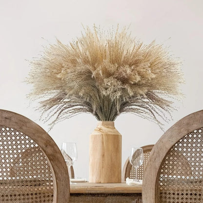 Natural dried reed mini pampas grass 10pcs decorative bundle for vase and home décor styling. 🌾✨