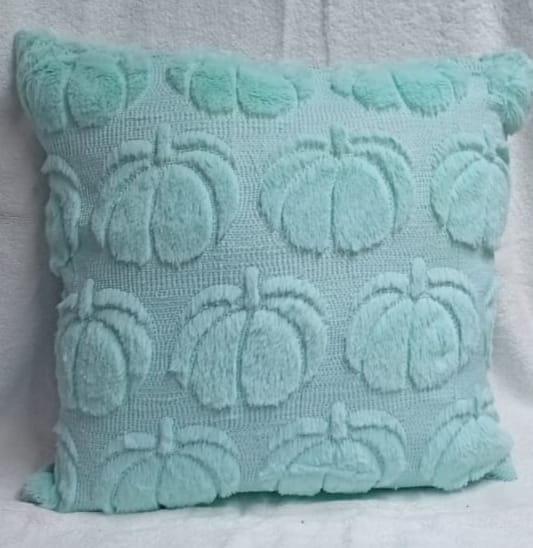 2Pcs Cushion Covers