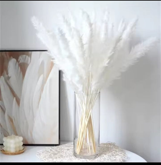 15 Pieces Dried Pampas Grass 60cm For Decorativetive Vase