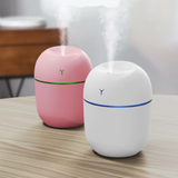 250ml Mini USB Humidifier