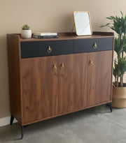 Wooden Shoe Cabinet