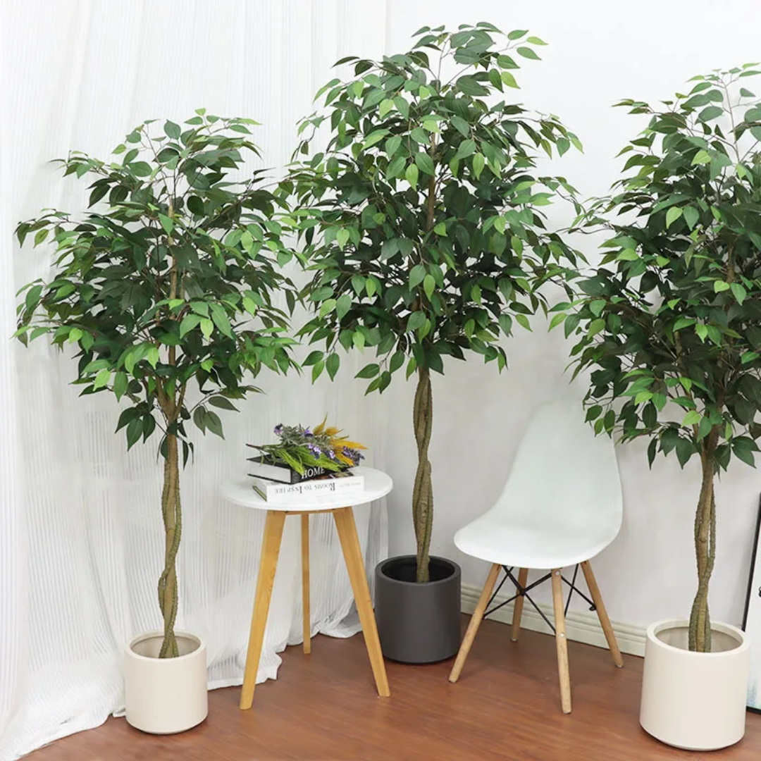 Artificial Ficus Plant