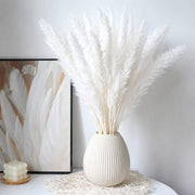 Dried mini pampas grass 10 piece bundle for natural home and vase decoration